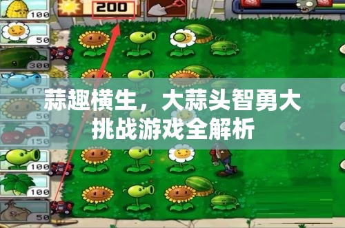 蒜趣橫生，大蒜頭智勇大挑戰(zhàn)游戲深度解析