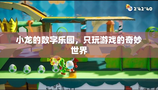 小龍的數(shù)字樂園，探索只玩游戲的奇妙世界
