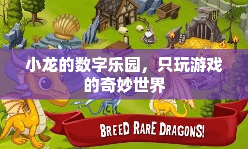 小龍的數(shù)字樂園，探索只玩游戲的奇妙世界