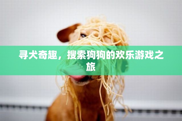 尋犬奇趣，狗狗搜索的歡樂冒險之旅