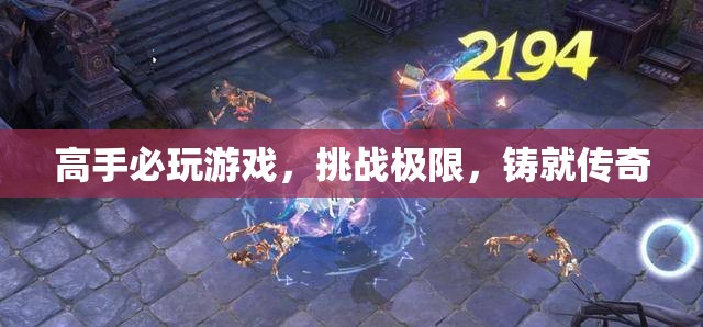 高手必玩，挑戰(zhàn)極限，鑄就傳奇