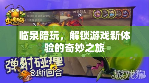臨泉陪玩，解鎖游戲新體驗(yàn)的奇妙之旅