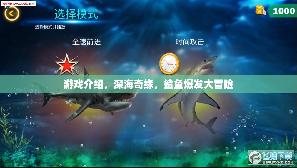 深海奇緣，鯊魚爆發(fā)大冒險