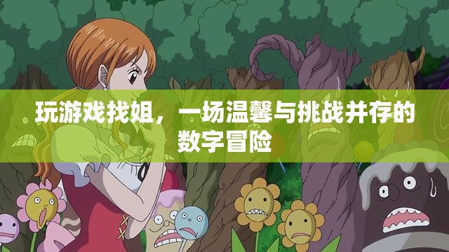 數(shù)字冒險中的溫情挑戰(zhàn)，玩游戲找姐之旅