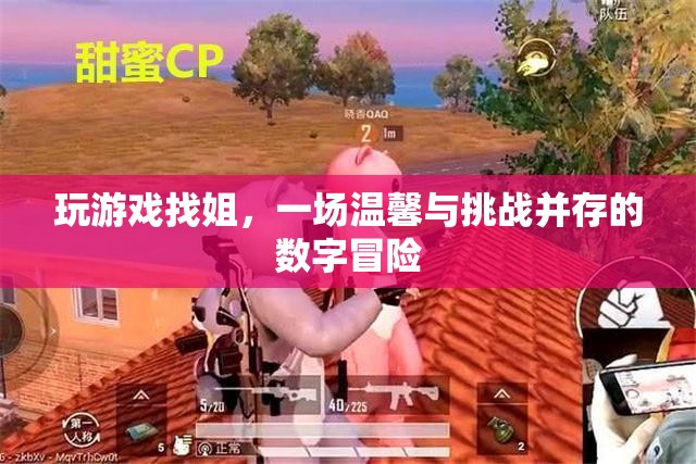 數(shù)字冒險中的溫情挑戰(zhàn)，玩游戲找姐之旅