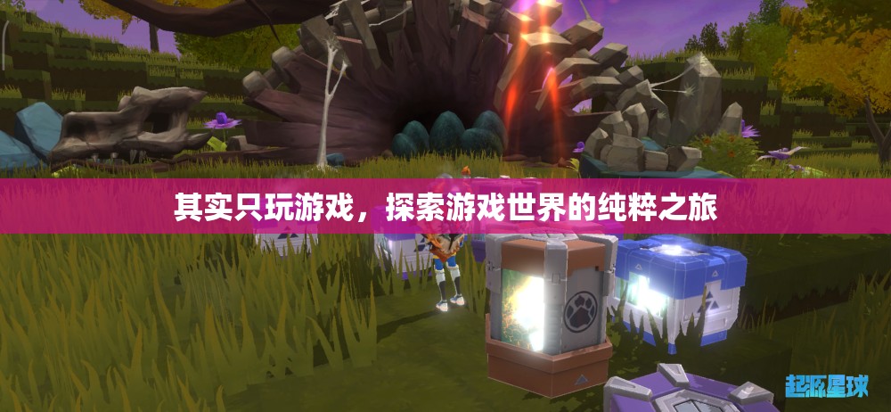 純粹之旅，探索游戲世界的無盡魅力