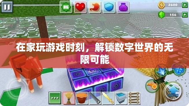 解鎖數(shù)字世界的無(wú)限可能，在家游戲時(shí)光的奇妙之旅