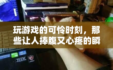 游戲中的笑中帶淚，那些既讓人捧腹又令人心疼的瞬間