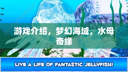 夢幻海域，水母的奇幻之旅