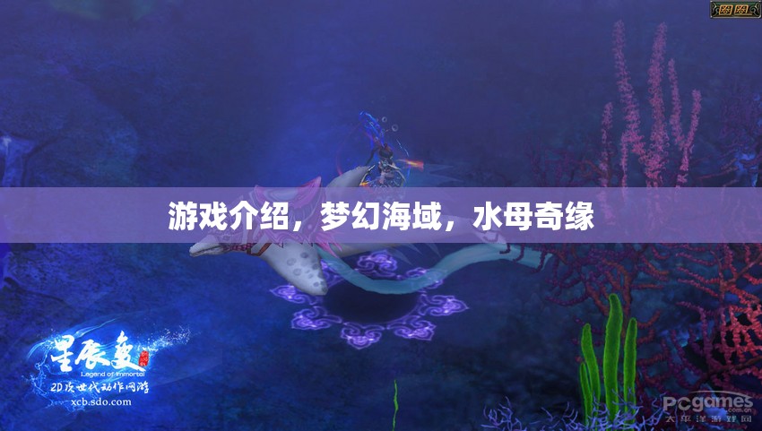 夢幻海域，水母的奇幻之旅