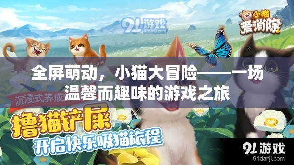 全屏萌動，小貓大冒險的溫馨趣味之旅