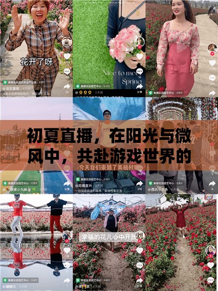 初夏陽(yáng)光下的游戲盛宴，共赴直播的夢(mèng)幻之旅