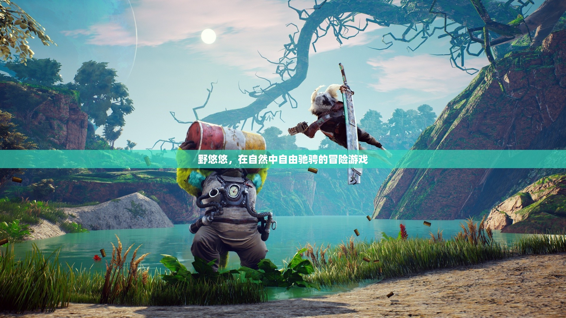 野悠悠，自然中的自由冒險