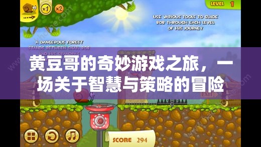 智慧與策略的冒險(xiǎn)，黃豆哥的奇妙游戲之旅