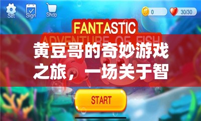 智慧與策略的冒險(xiǎn)，黃豆哥的奇妙游戲之旅