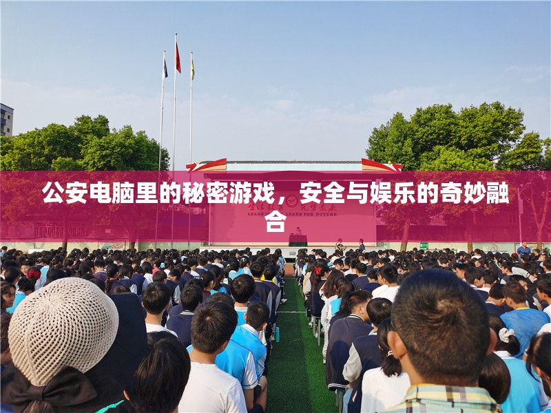 公安電腦里的秘密游戲，安全與娛樂的奇妙融合