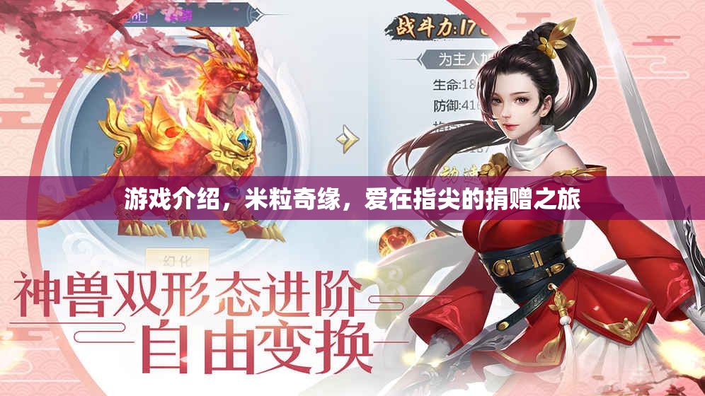 米粒奇緣，愛(ài)在指尖的捐贈(zèng)之旅