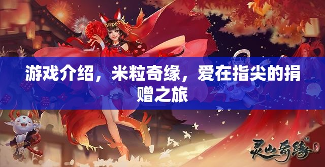 米粒奇緣，愛(ài)在指尖的捐贈(zèng)之旅