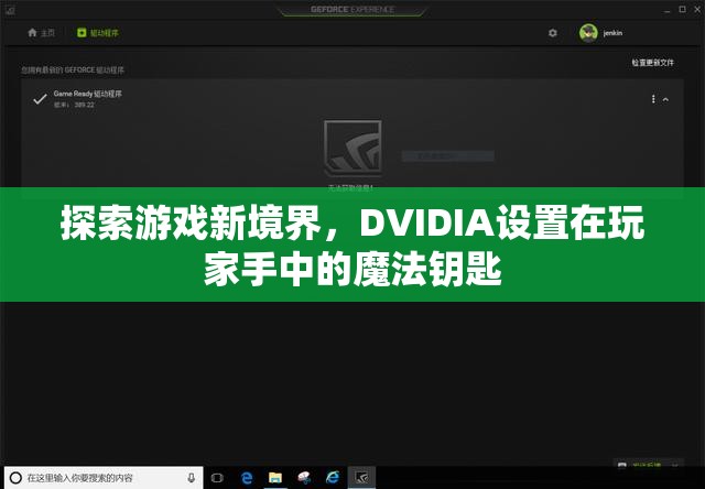 探索游戲新境界，DVIDIA——玩家手中的魔法鑰匙