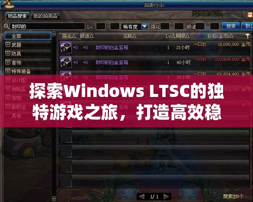 Windows LTSC，打造高效穩(wěn)定的游戲平臺，開啟獨(dú)特游戲之旅