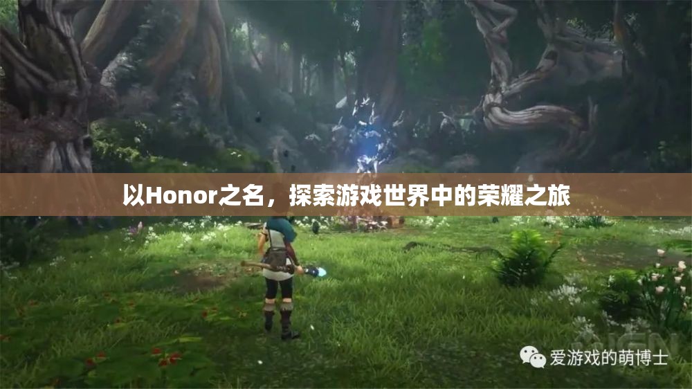 以Honor之名，探索游戲世界的榮耀之旅
