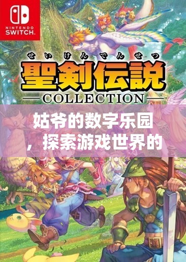 姑爺?shù)臄?shù)字樂(lè)園，解鎖游戲世界的無(wú)限可能