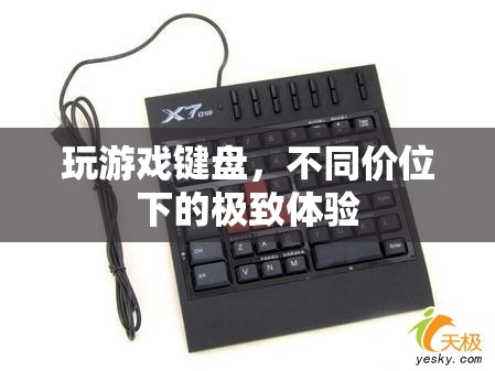 不同價(jià)位下的極致體驗(yàn)，探索玩游戲鍵盤的奧秘