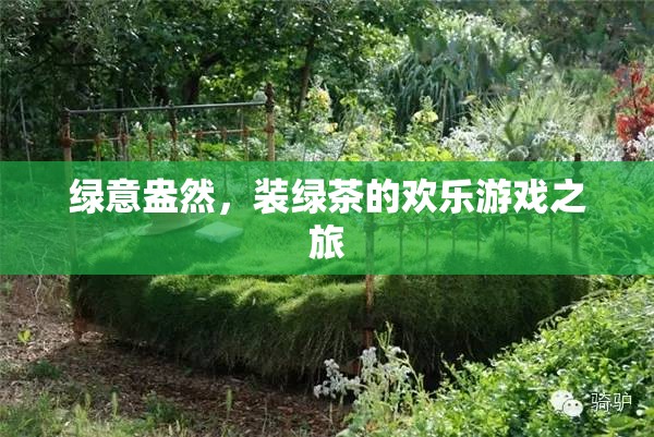 綠意盎然，裝綠茶的歡樂游戲之旅