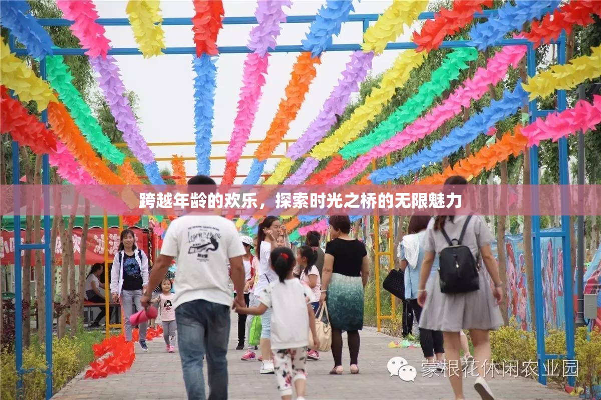 時(shí)光之橋，探索跨越年齡的歡樂(lè)與無(wú)限魅力