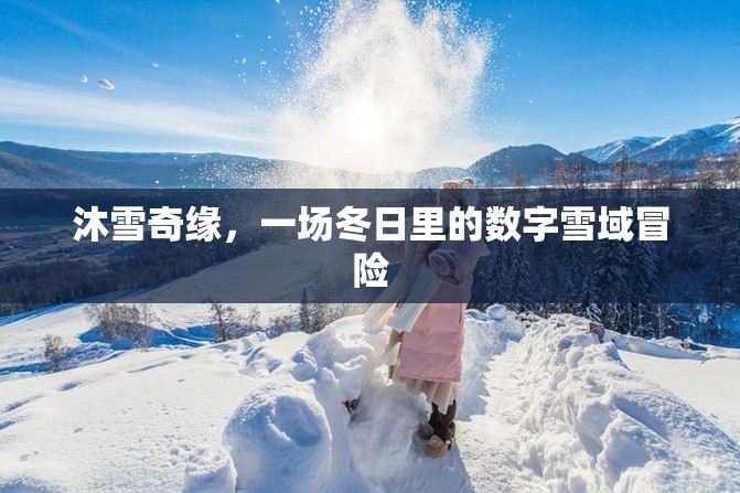 冬日奇緣，沐雪奇緣的數(shù)字雪域冒險(xiǎn)