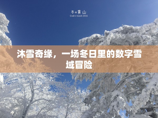 冬日奇緣，沐雪奇緣的數(shù)字雪域冒險(xiǎn)