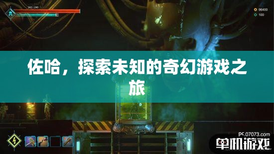佐哈，探索未知的奇幻游戲之旅