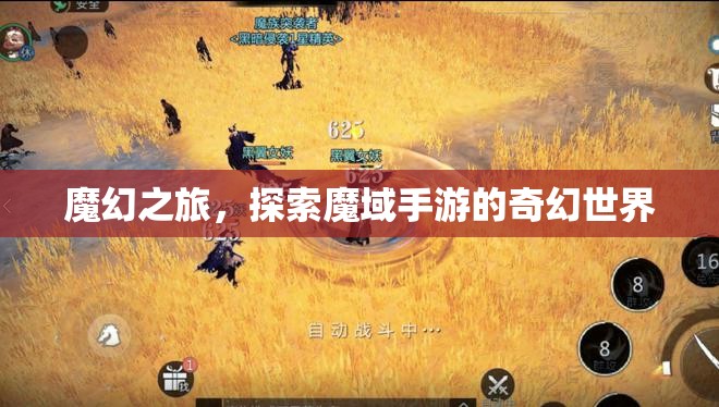 魔幻之旅，解鎖魔域手游的奇幻世界