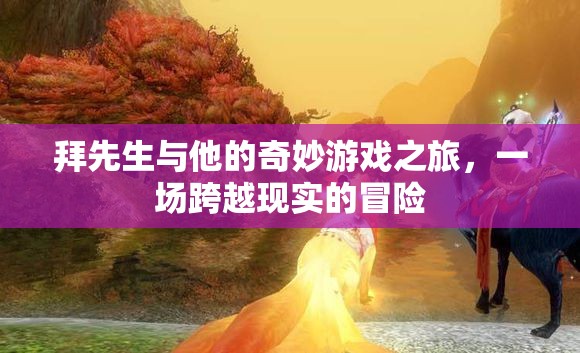 拜先生，跨越現(xiàn)實的奇妙游戲之旅