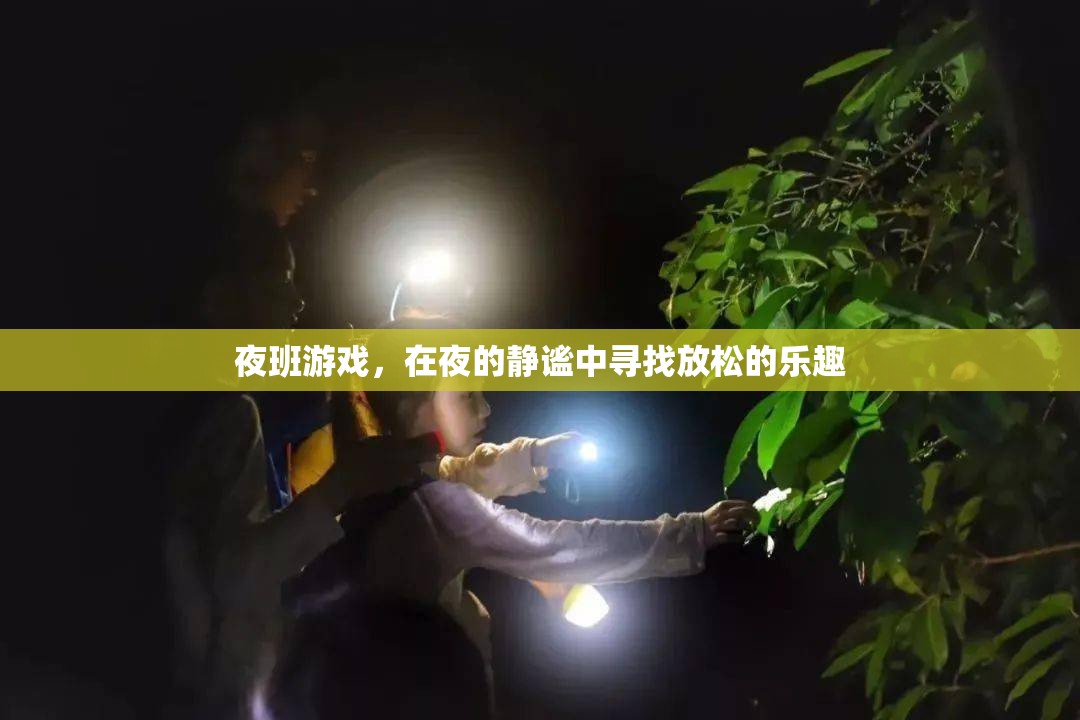 夜幕下的放松之旅，探索夜班游戲的樂(lè)趣