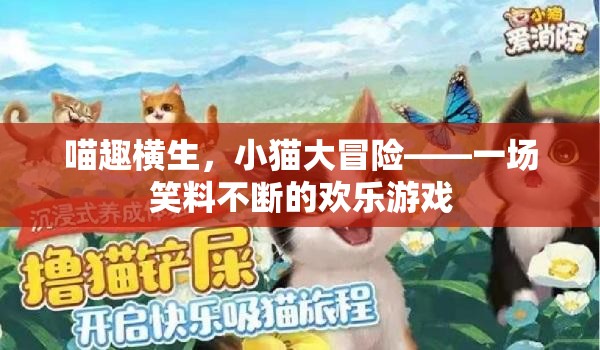 喵趣橫生，小貓大冒險的歡樂笑料之旅