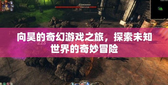 向昊的奇幻游戲，探索未知世界的奇妙冒險(xiǎn)