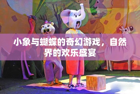 小象與蝴蝶的奇幻游戲，自然界的歡樂盛宴