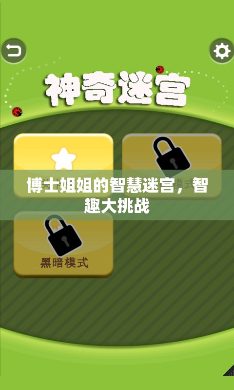 博士姐姐的智慧迷宮，智趣大挑戰(zhàn)