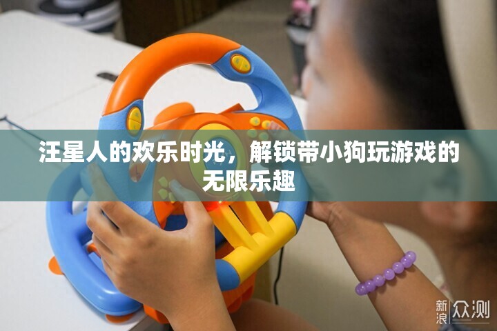 汪星人的歡樂(lè)時(shí)光，解鎖與愛(ài)寵共度的無(wú)限游戲樂(lè)趣