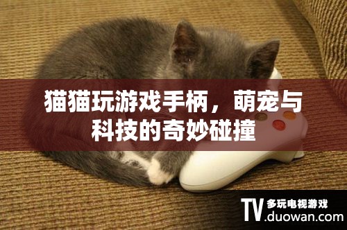 萌寵與科技的奇妙碰撞，貓貓玩游戲手柄的樂(lè)趣