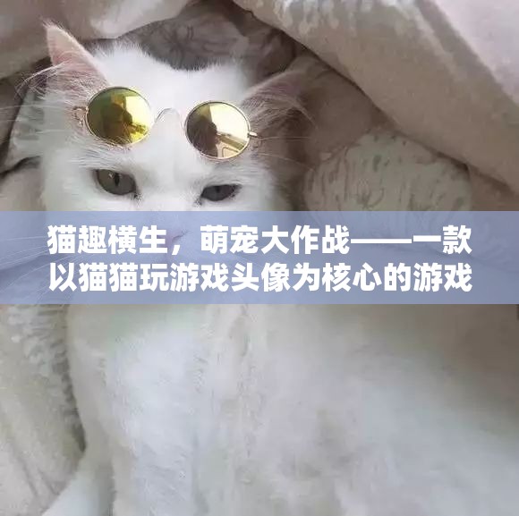萌寵大作戰(zhàn)，貓趣橫生的游戲世界