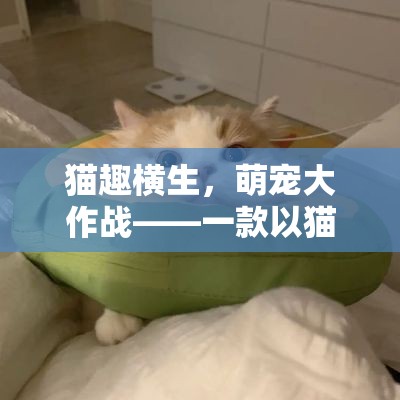 萌寵大作戰(zhàn)，貓趣橫生的游戲世界