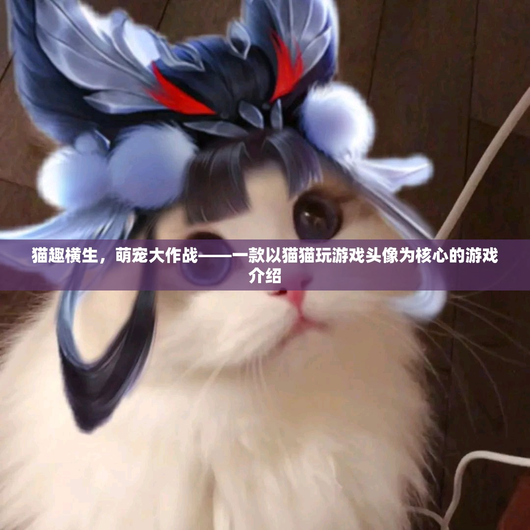 萌寵大作戰(zhàn)，貓趣橫生的游戲世界