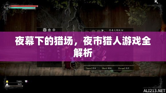 夜幕下的獵場，全面解析夜市獵人游戲