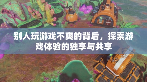 探索游戲體驗(yàn)的獨(dú)享與共享，揭秘他人游戲不爽的背后