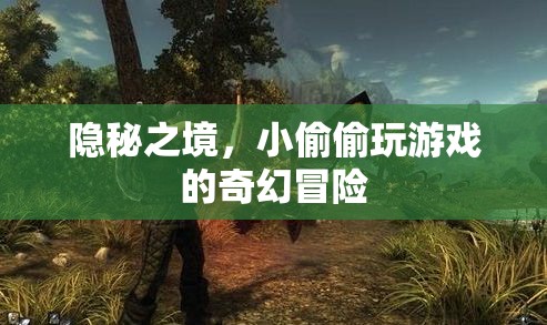 隱秘之境，小偷的奇幻游戲冒險