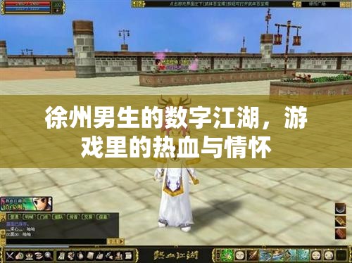 徐州男生的數(shù)字江湖，游戲中的熱血與情懷之旅