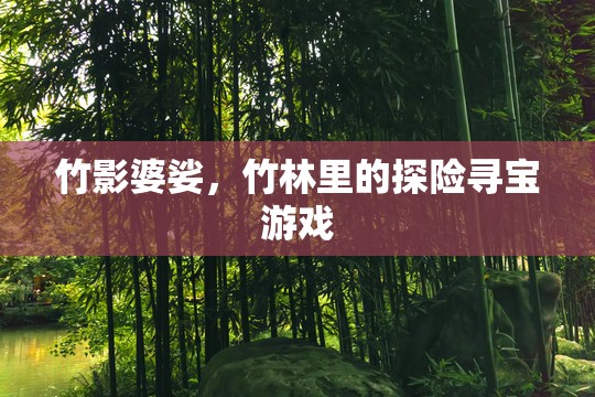 竹林秘境，一場(chǎng)尋寶與自然的奇妙探險(xiǎn)