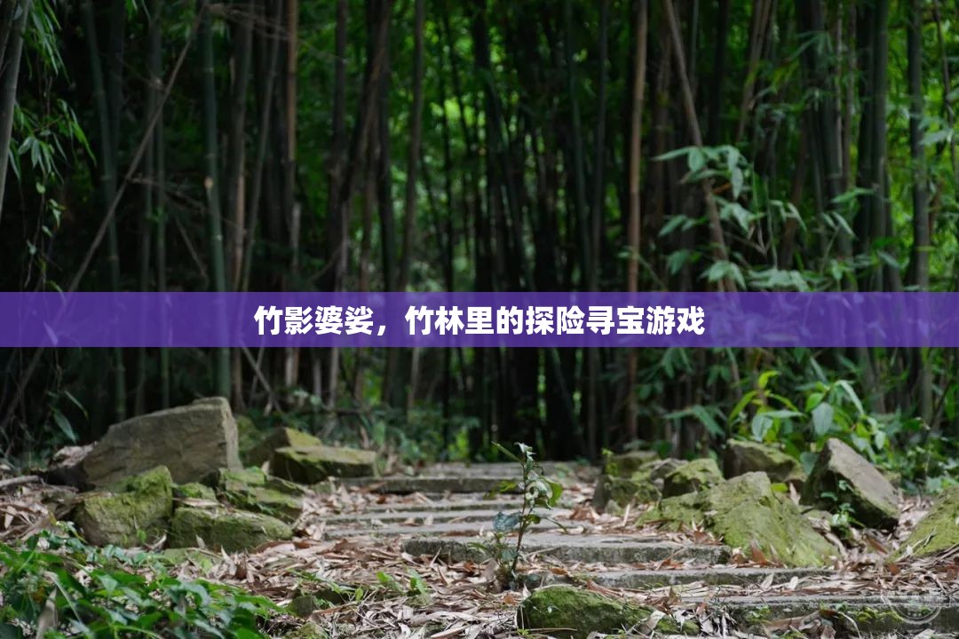 竹林秘境，一場(chǎng)尋寶與自然的奇妙探險(xiǎn)